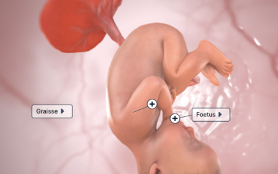 Semaine 37 de grossesse (39 SA)